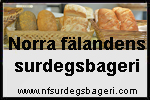 surdeg sponsorer